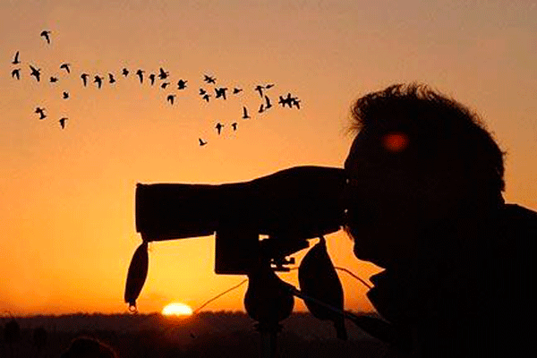 avisatamiento de aves sierra de aracena birdwatching