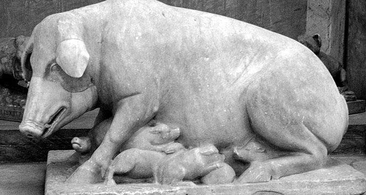 Escultura de cerda amamantando a sus crías en la sala de animales de los Museos Vaticanos.